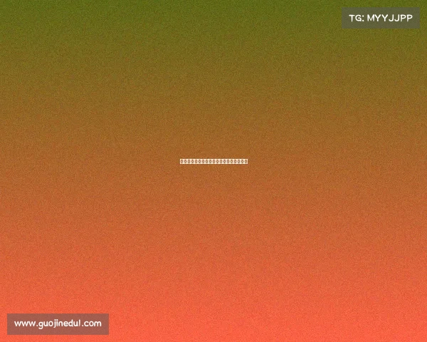 全国赛事举办目录精华汇编与实用指南大全